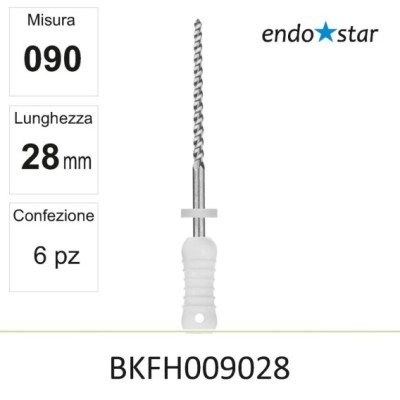 BKFH009028