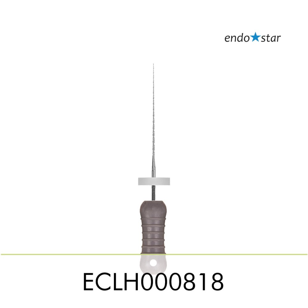 ECLH000818