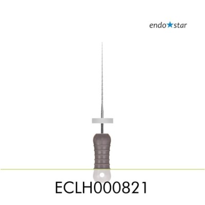 ECLH000821