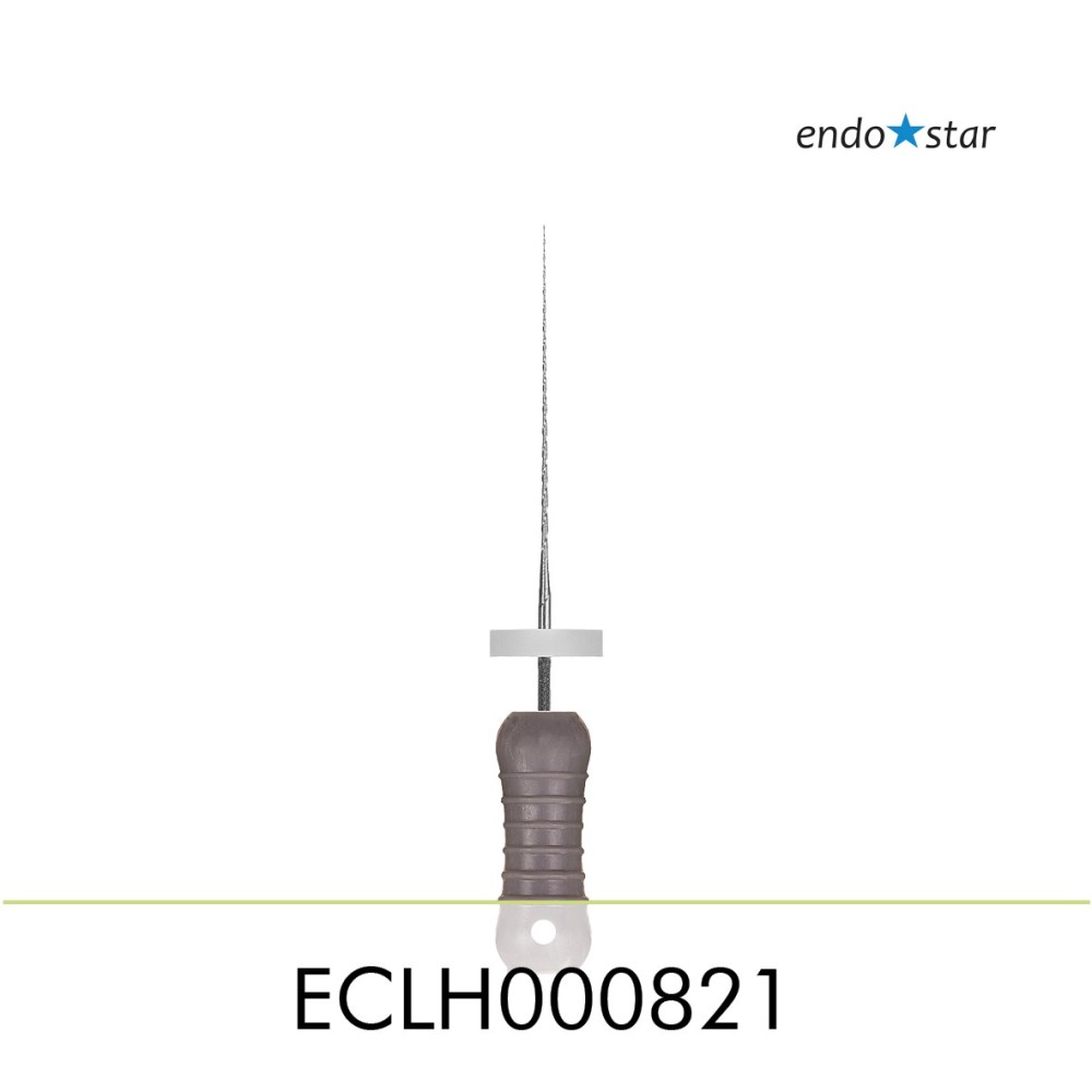 ECLH000821