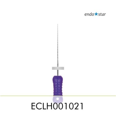 ECLH001021