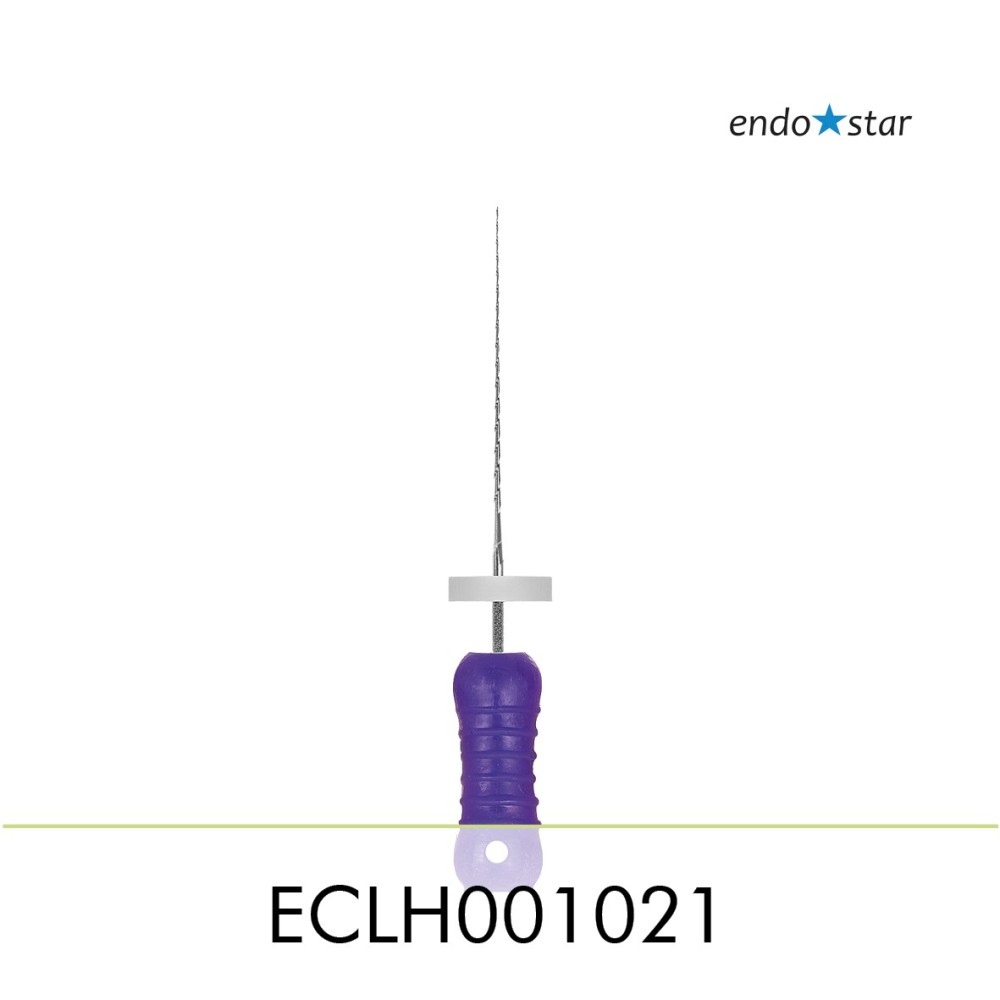 ECLH001021