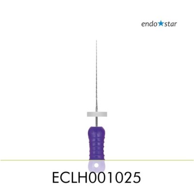 ECLH001025