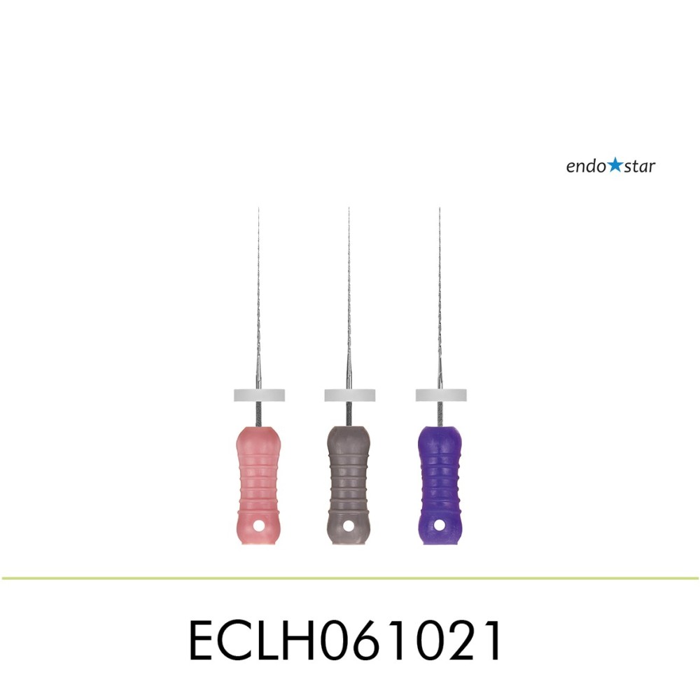 ECLH061021