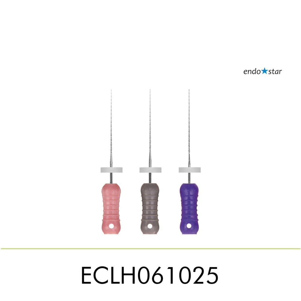ECLH061025