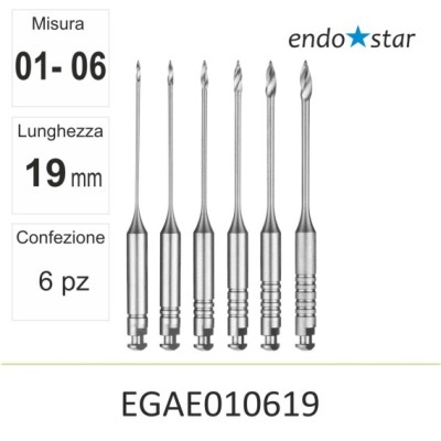 EGAE010619