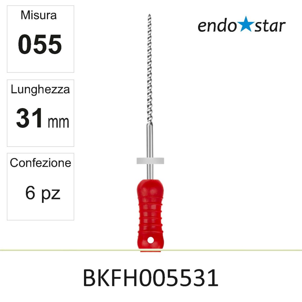 BKFH005531
