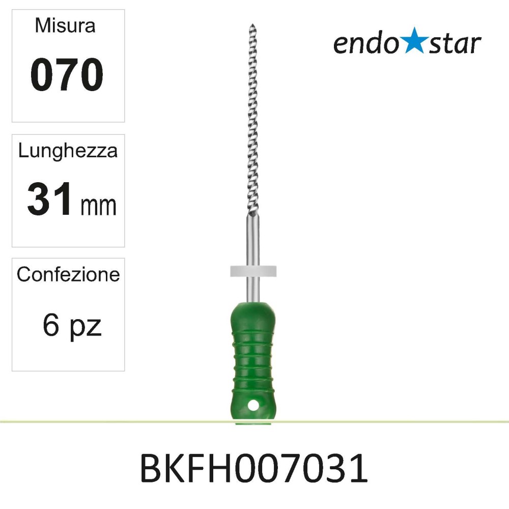BKFH007031