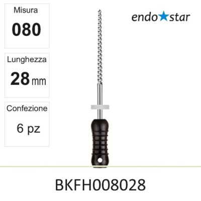 BKFH008028