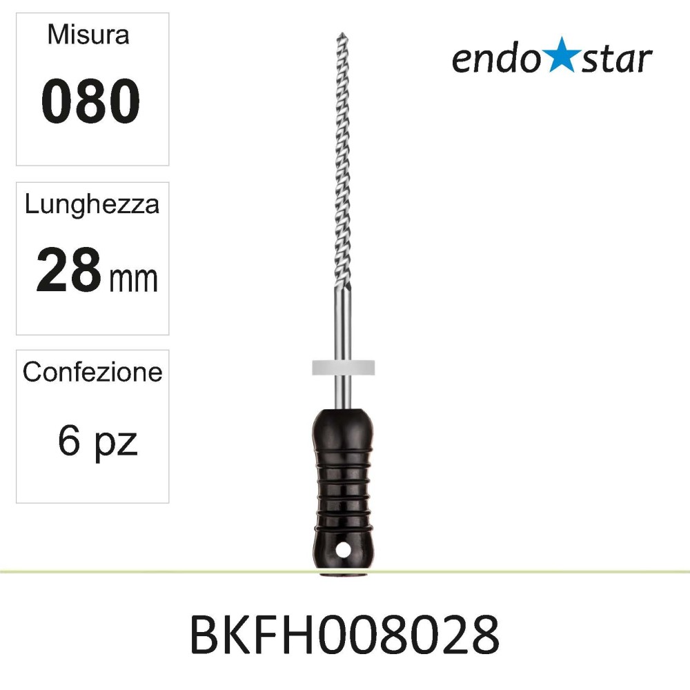 BKFH008028