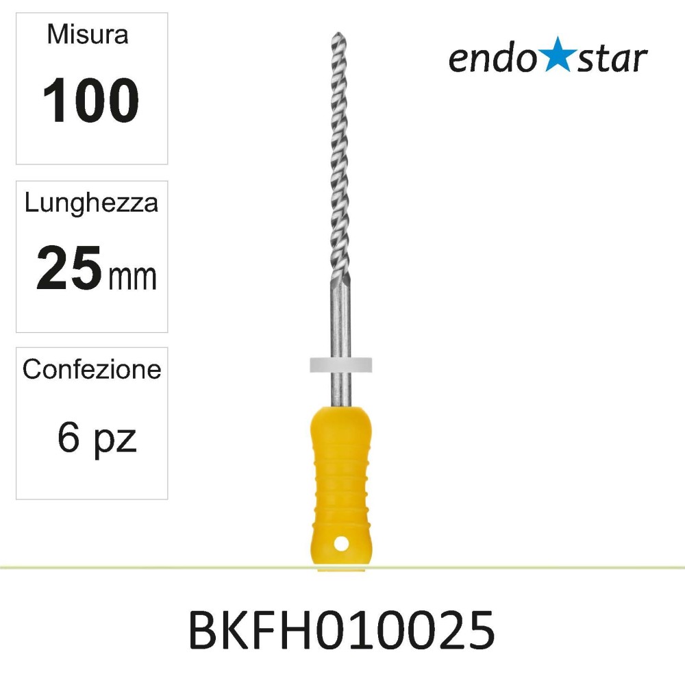 BKFH010025