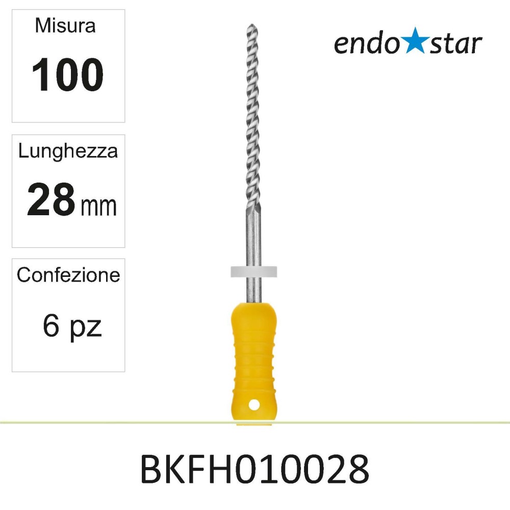 BKFH010028