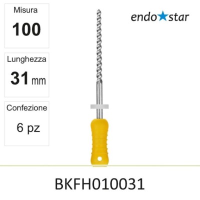 BKFH010031
