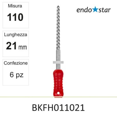 BKFH011021