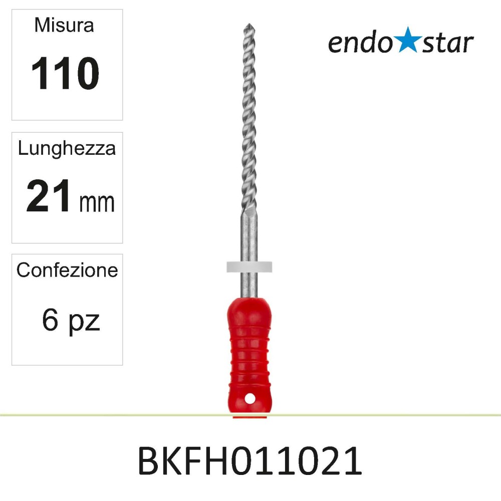 BKFH011021