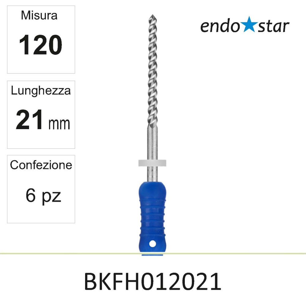 BKFH012021
