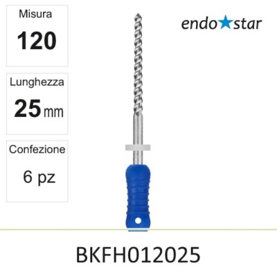 BKFH012025