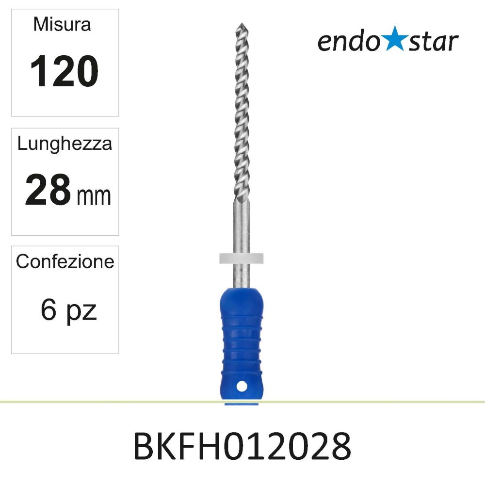 BKFH012028