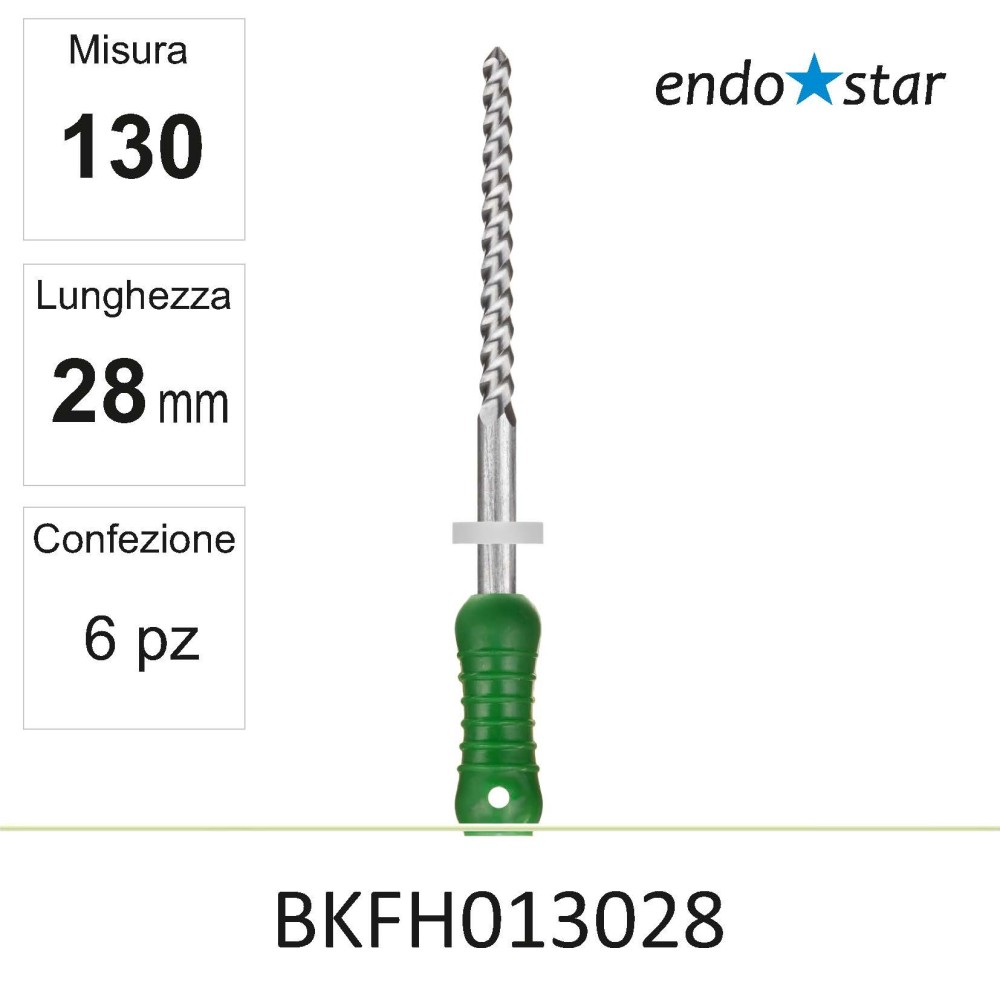 BKFH013028