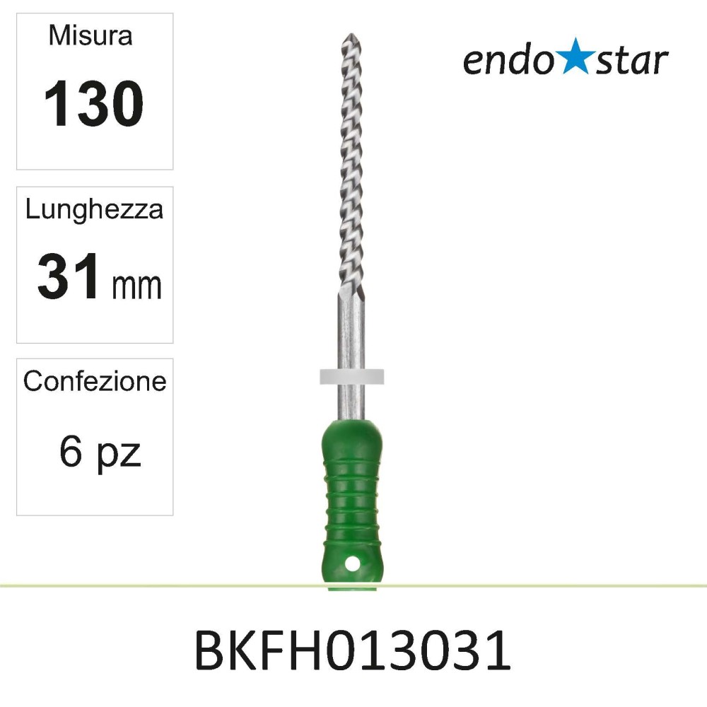BKFH013031