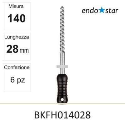 BKFH014028
