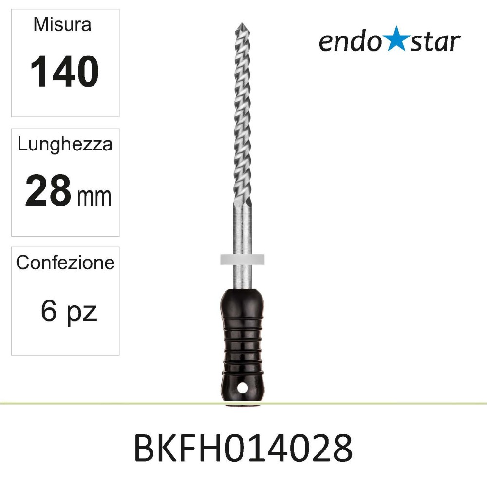 BKFH014028