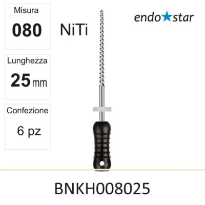 ENKH008025