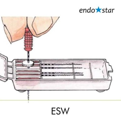 ESW