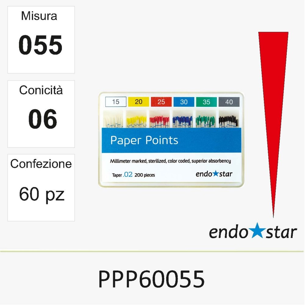 PPP60055