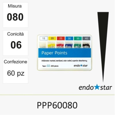 PPP60080