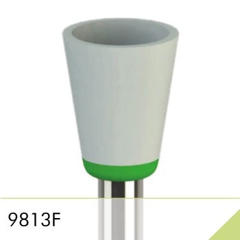 9813F
