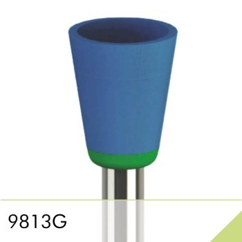 9813G