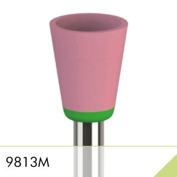 9813M