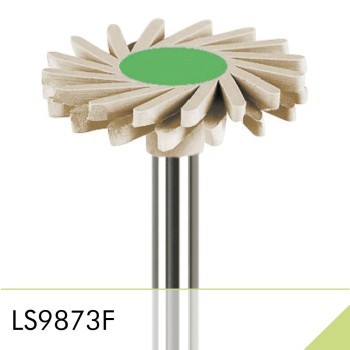 LS9873F