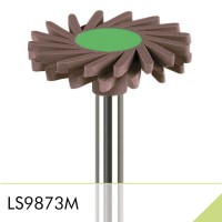 LS9873M