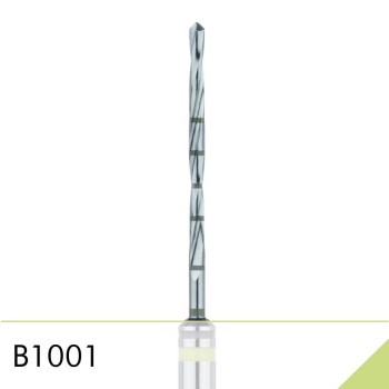 B1001
