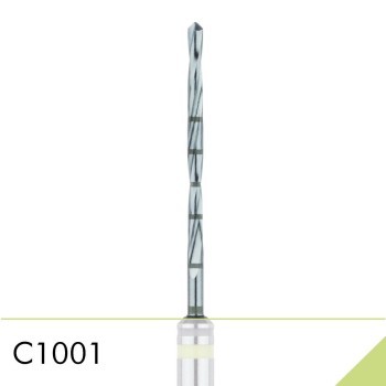 C1001