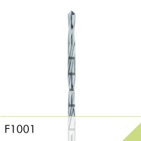 F1001