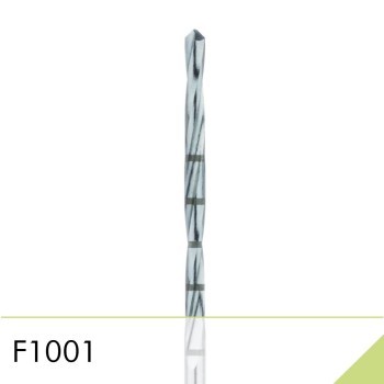 F1001