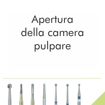 Apertura della camera pulpare