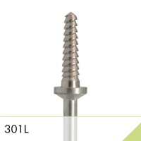 301L