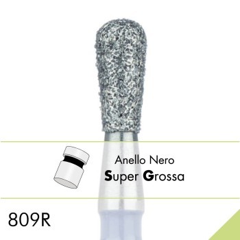 809RSG