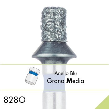 828O