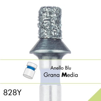 828Y