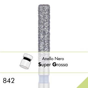 842SG