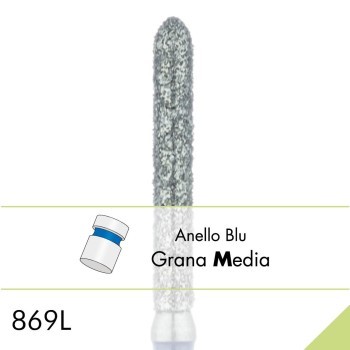 869L