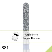 881SG