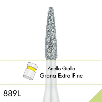 889LEF