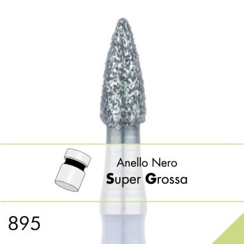 895SG