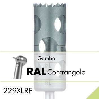 229XLRF.RAL